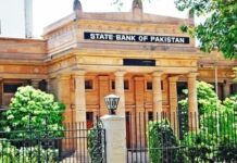 Amin Khan Lodhi appointed as Deputy Governor SBP