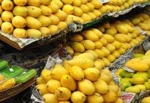 Pakistani Mangoes make season debut in Xinjiang via Land Port