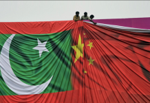 Pakistan secures 945 Chinese & IRRI germplasm lines