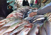 Pakistan’s Seafood exports to China rise in first seven months of 2026