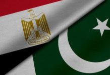 Pakistan, Egypt condemn Houthi attacks on Saudi Arabia