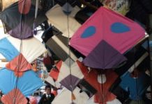 Punjab Assembly approves Kite-Flying Ordinance 2025