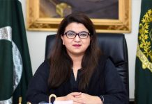 Promotion of digital economy govt’s top priority: Shaza Fatima