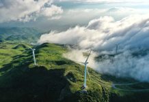 China’s cooperation powers Green future in Global South