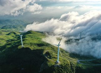 China’s cooperation powers Green future in Global South