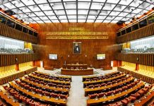 Senate body directs time bound gasification of villages