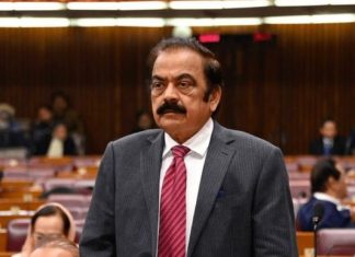 PML-N confident of securing clear majority in AJK elections: Rana Sanaullah