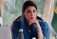 CM Punjab directs to establish dispute resolution committees to decide property possession cases