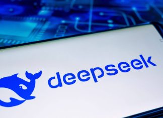 China vows to firmly protect firms’ rights amid US DeepSeek ban