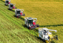 China rolls out festive campaign to boost sustainable Agri consumption