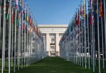 UN Warns of Rising Digital Violence as Pakistan Marks ‘16 Days of Activism’