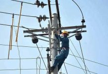 WAPDA, AFD discuss financing for hydel projects