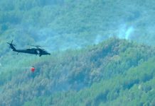 UAE rescue team continues its efforts to contain forest fires in Albania