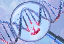 Scientists achieve breakthrough in diabetes treatment with gene-edited cell transplant