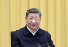 Xi calls for better synergy with Russia