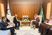 DPM, Saudi FM discuss humanitarian situation in Gaza, ongoing genocide, famine