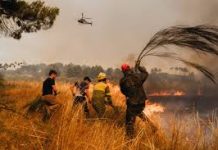 Fresh wildfires break out in Portugal, Spain