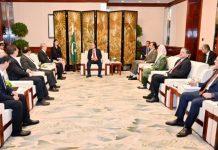 President for exploring Pak-China joint ventures in electric vehicles, mini trucks