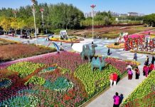 Mainland & Hong Kong unite to showcase ancient Chinese gold art