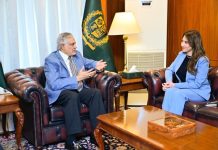 Dar, U.S. Envoy discuss expanding bilateral cooperation, regional stability