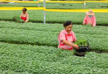 Unleashing ‘She Power’