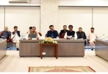 NA body on Overseas Pakistanis meets