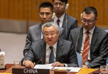 Achieving lasting ceasefire in Gaza is top priority: Chinese Envoy