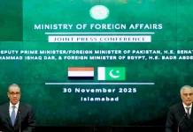 Pakistan, Egypt move to boost trade with 250-firm white list