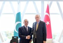 PM, President Erdogan review bilateral ties
