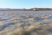 Snowfall & strong winds sweep across China