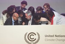 China hails ‘hard-won’ COP30 Global Mutirao decision