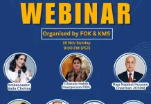 International webinar urges global action for Kashmir