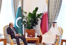 President Zardari, Amir of Qatar agree to expand bilateral cooperation in diverse areas