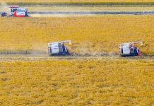 Central rural work conference maps out 2026’s work priorities