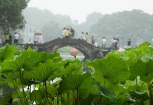 Strategy defines growth trajectory