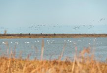 UN body partners with private sector to set up sustainable patrol at nature reserve