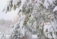 Mysterious snow in Minsk gets explanation from weather experts