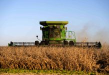 How Washington’s trade war sowed decline