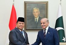 Pakistan, Indonesia reaffirm to further strengthen cooperation in all areas of mutual interest