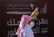 King Abdulaziz Falconry Festival takes global lead with 16,600 falcon participation in 6 years