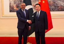 Special protection unit being set up in Islamabad for Chinese citizens: Naqvi