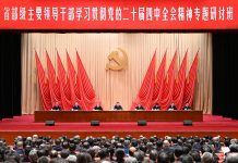 Chinese President stresses securing good start for new five-year plan