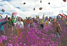 Pursuit of ‘silver dividends’ redefines seniors’ golden years