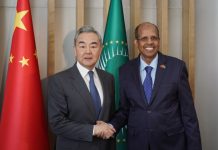 China, Africa aim to boost cooperation amid FM’s visit