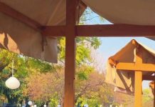 Organic community market debuts in F-7 Park, draws warm response from residents