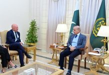 PM reaffirms government’s support for foreign investors, strategic technology partners