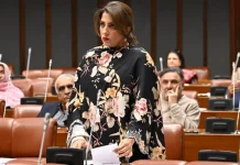 Senate slams Netanyahu’s plan seeking to forge alliance with India against Muslim nations