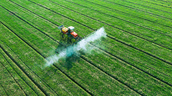 China drives farmers' income growth to expand demand, bolster economy