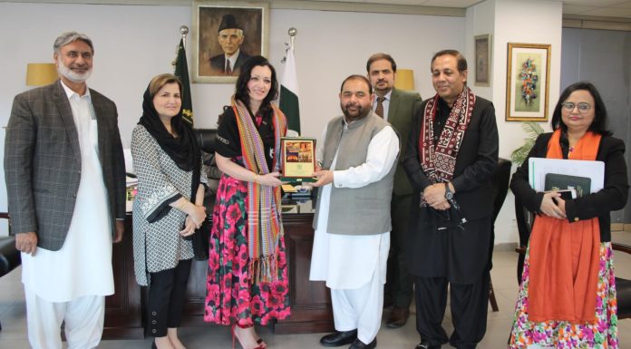 Pakistan, UK discuss strengthening cultural ties