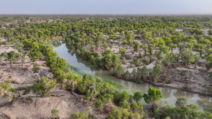 新疆塔里木河在大西海子水库启动第26次生态输水第二阶段输水工作(6)